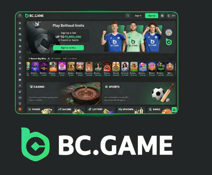 BC.Game Online Casino and Sportsbook Your Ultimate Gaming Destination -270238869
